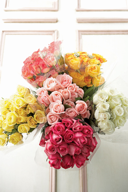 Multi color rose bouquet