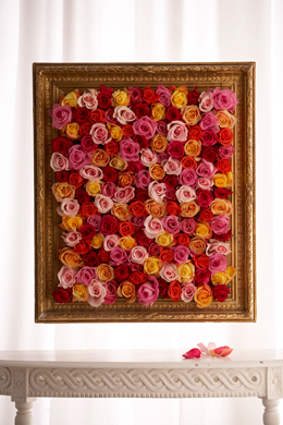 Framed roses