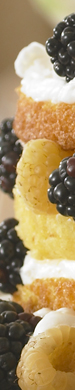 Berry Cake Close up